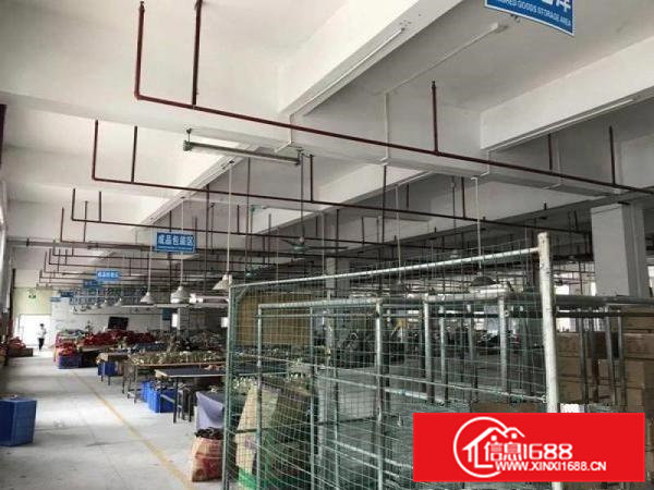 大岭山鸡翅岭独院二楼1900平方有消防喷淋可分租