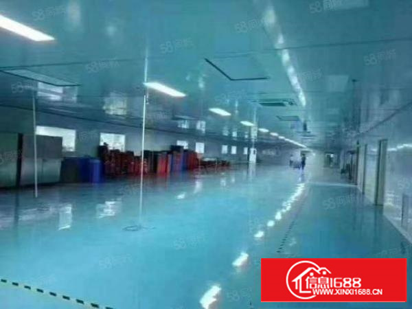 石排现十万级无尘车间标准面积8200，报价14，现房，可谈