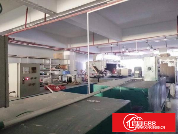 惠阳新圩新出三楼600现成丝印喷油房厂房火爆出租