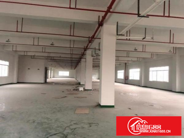 大洲工业区二楼厂房，低价出租