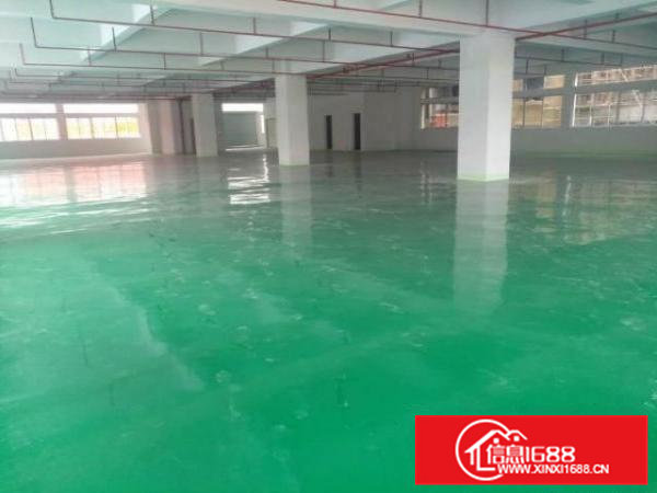 富竹山625平米全新厂房出租