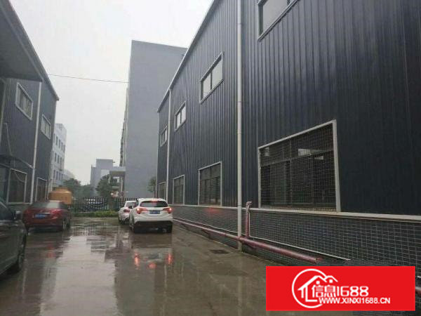 桥头镇大洲新出单一层厂房滴水9米高（带行轨）