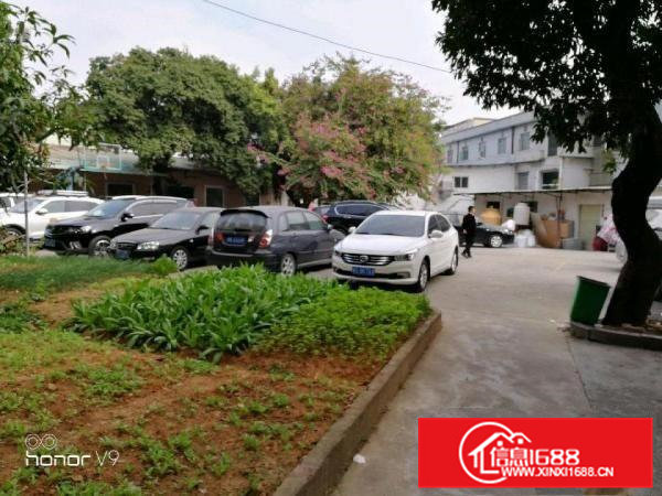 袁山贝常朗路花园独院厂房3600平米可分租