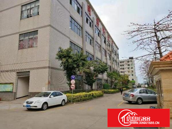 龙岗原房东厂房出租3楼2500平实际面积可分租有装修地坪漆