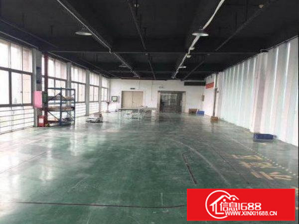 龙岗业主直租独院厂房6000平方可分租、带牛角