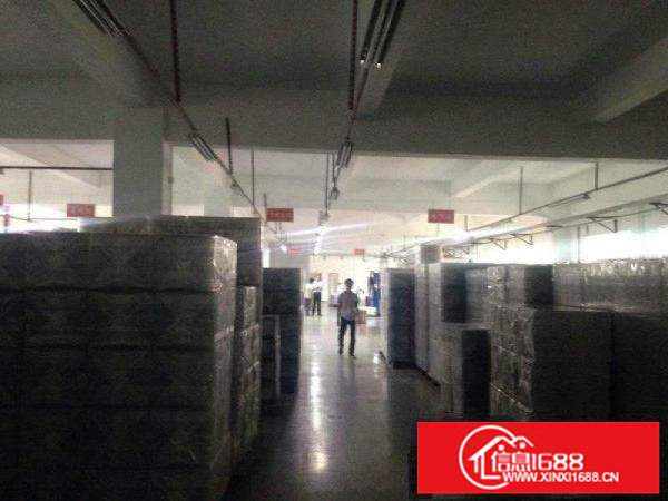 龙岗南联爱南路新出独院一楼500平出租高5米