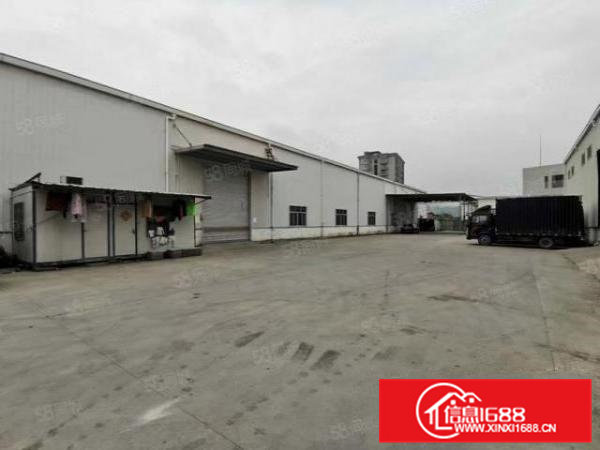 ！虎门新出单一层到顶9米高钢构4300平方带装修可分租！