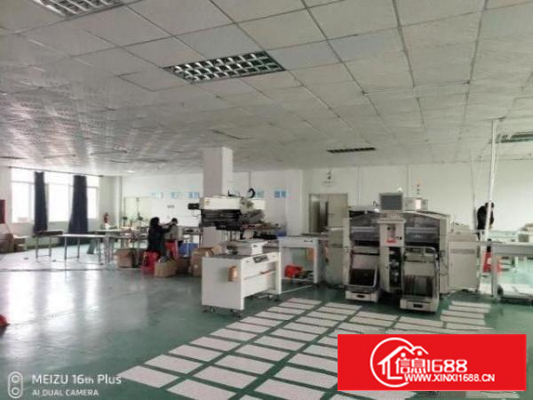 石排黄家壆3万平红本厂房出租300平起分带装修