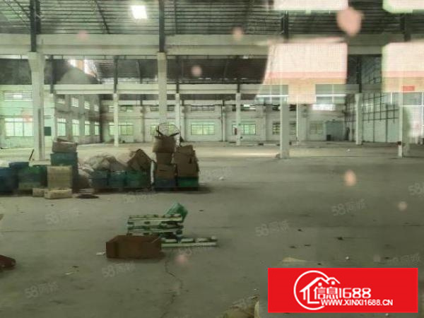 原房东形象漂亮水电齐全单层价格便宜6000平方招租