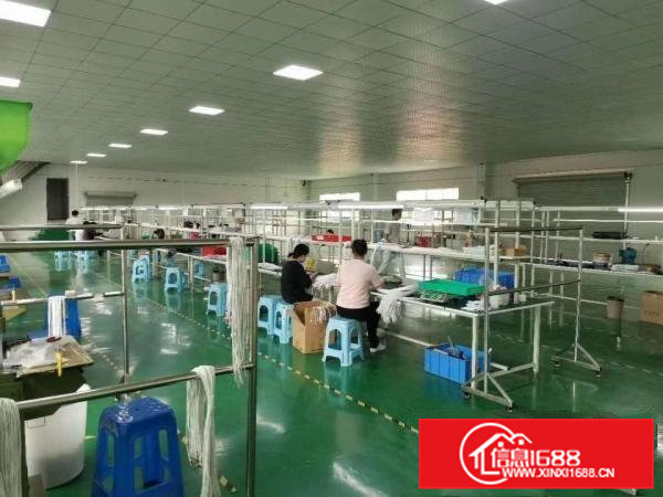 现成装修办公室，带地坪漆