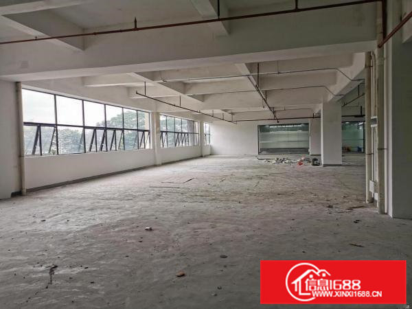 原房东常平火车站旁新出5000平厂房出租形象好