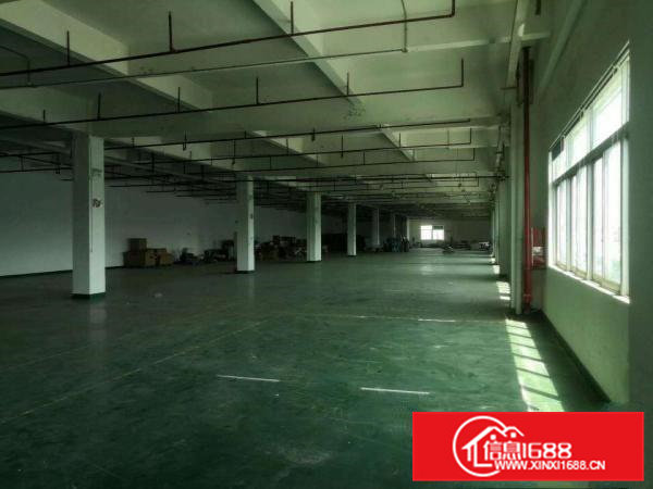 寮步良边带地坪漆标准独院厂房500平方出租消防到位.