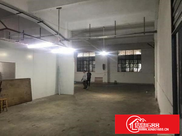 原房东出租标准厂房层高6米