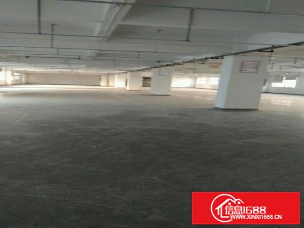 虎门标准两层独院厂房5000平方出租