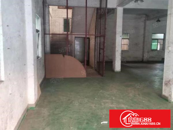 大岭山一楼800平方厂房出租,超低价独门独院带地坪漆