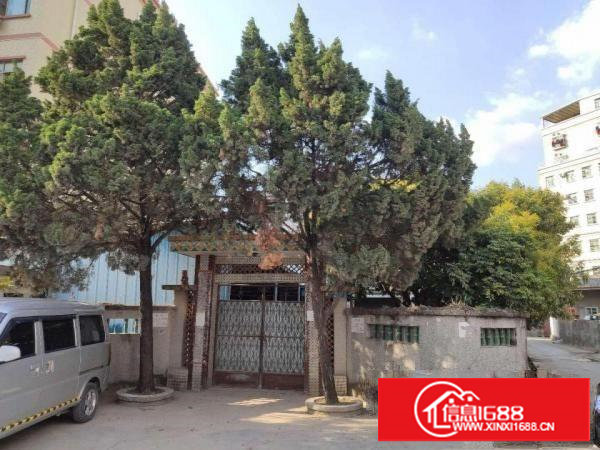 东莞市塘厦镇桥陇厂房屋院独院招租加工企业办公室出租