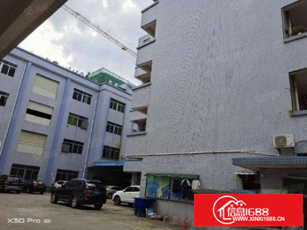 新出村委工业园厂房，可办环评，喷淋消防，可整租可分租