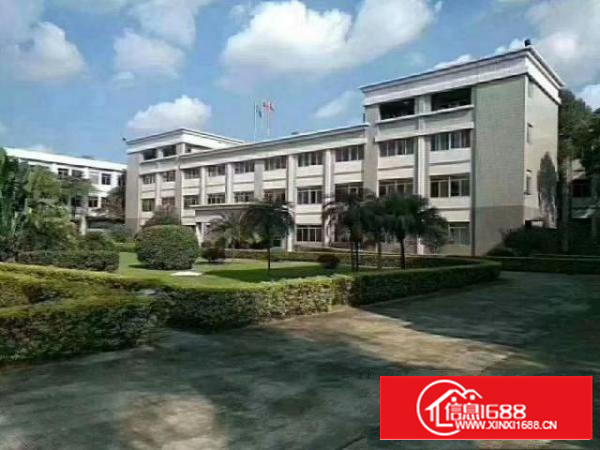 万江标准11500平方米;层高6米;水电线路齐全空地大