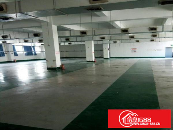 观澜观光路大型工业园区独栋每层750平米出租