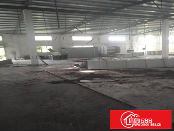 长布独门独院原房东单一层厂房1300平方出租