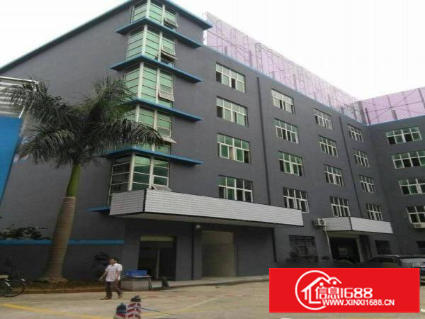 龙岗南联电商国际产业园8001500平米，可分租