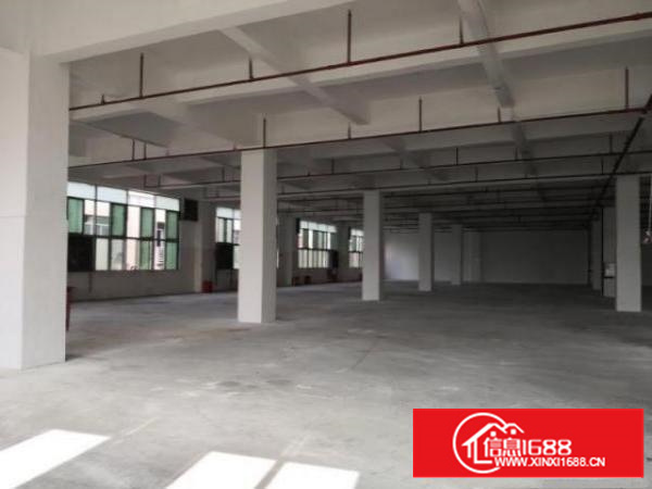 万江新出独院标准厂房一楼1500平方出租，入驻就可生产