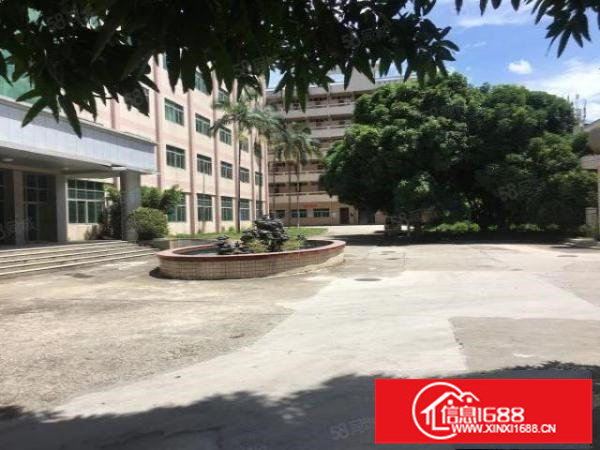 观澜福民工业园800平200平起分厂房招租出租分租带精装修