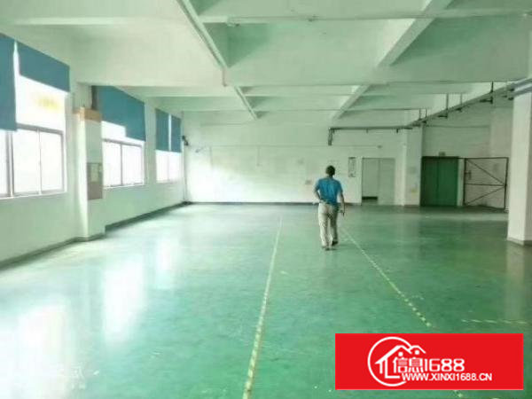 新出原房东独院厂房1至3层4500平