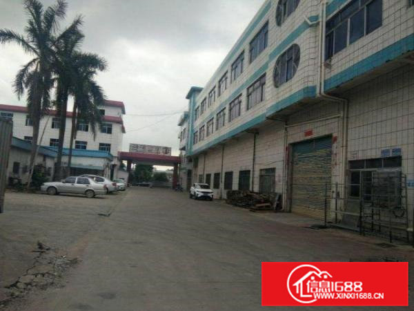 树田新出一楼厂房1600平，现成行车