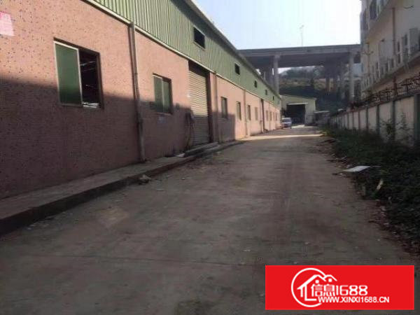 凤岗金凤凰独院单一层钢构厂房出租3300平方可分租