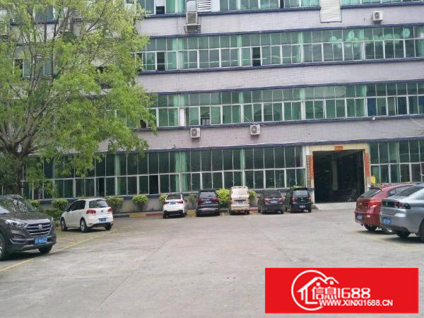 龙岗坪地600平厂房带装修地坪漆空地超大