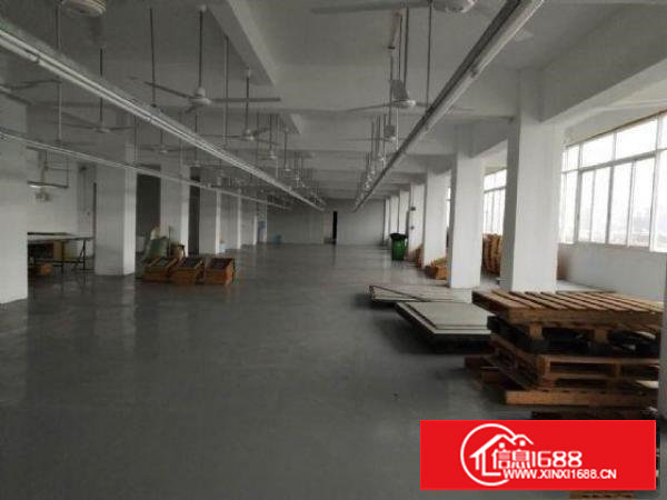 塘厦大坪四黎南路大道独院2楼1100平方！一整层电子车间