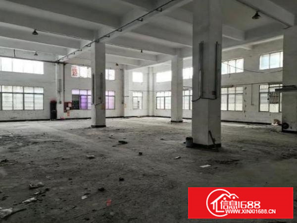 松岗沙浦围新出一楼6米5层高工业园区厂房1000平方米