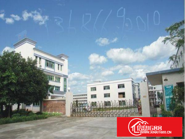 石湾厂房出租出售信息石湾厂房中介公司