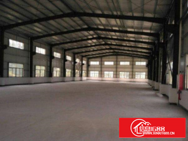 万江单层独院1500平方招租，可分租，配套齐全