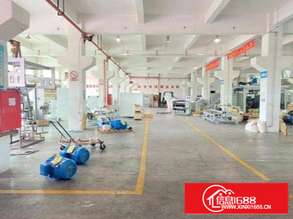 石岩石龙仔原房东一楼1150平，实际面积出租，长宽2055