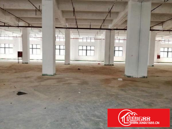 深圳龙岗形象好价格低红本厂房8000平整租单价14