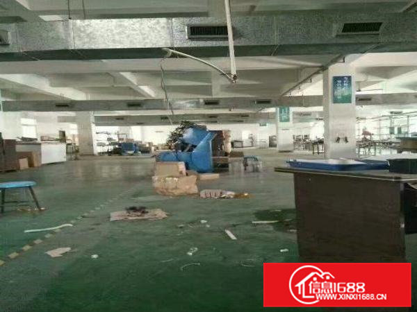 出租横沥工业园一楼1000带地坪漆厂房