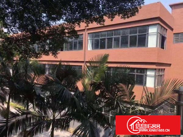 寮步镇中心办公场地出租300平方，适合培训办公贸易