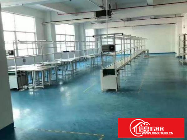 凤岗楼上厂房出租1200平电子组装加工贸易现成流水线