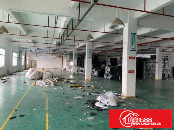 龙岗坪地新空出一楼红本标准厂房750平米出租