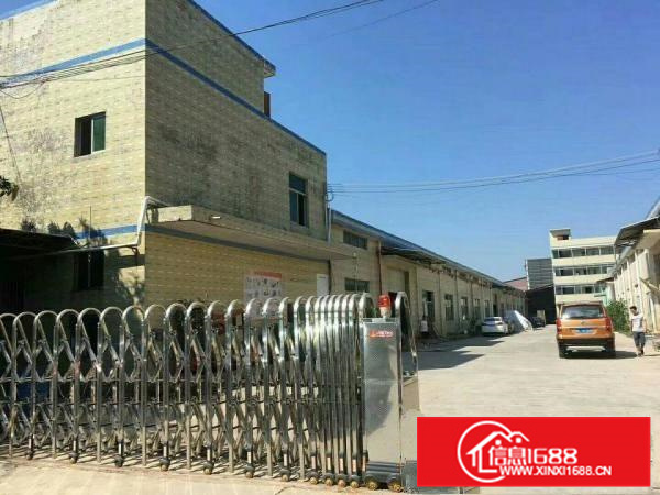 秋长一楼厂4500平米出租