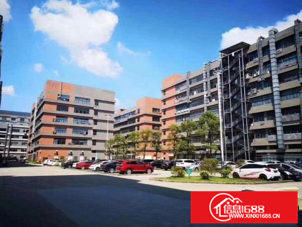 凤岗雁田新出一楼2600平米带装修水电到位厂房出租300起租