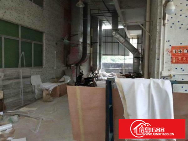 惠阳秋长新出2200平独门独院可喷油钢结构厂房