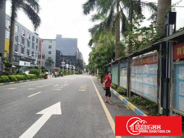 龙岗南联大型产业园标准厂房精装办公大型货仓业主直招