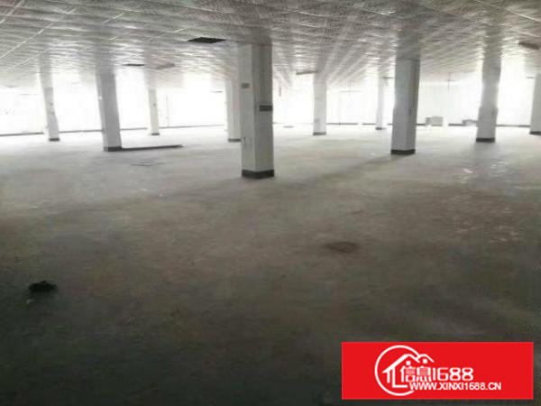 仲恺陈江独门独院11000平米厂房招租也可分租