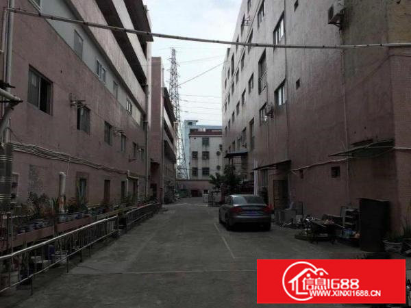 龙岗龙东社区原房东无公摊厂房带装俢1200平米