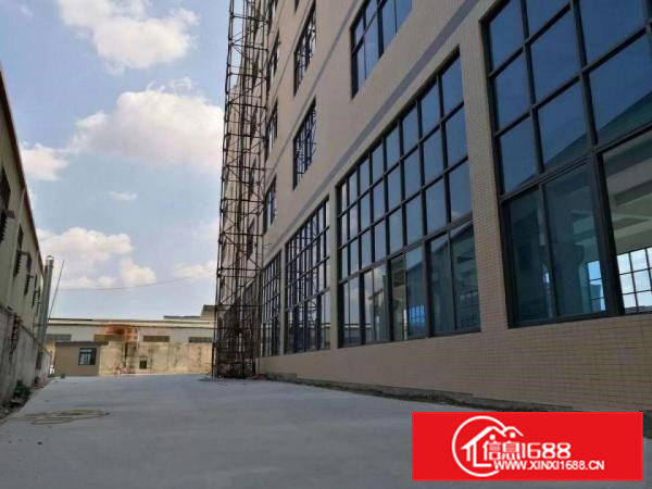 企石镇独院标准厂房出租