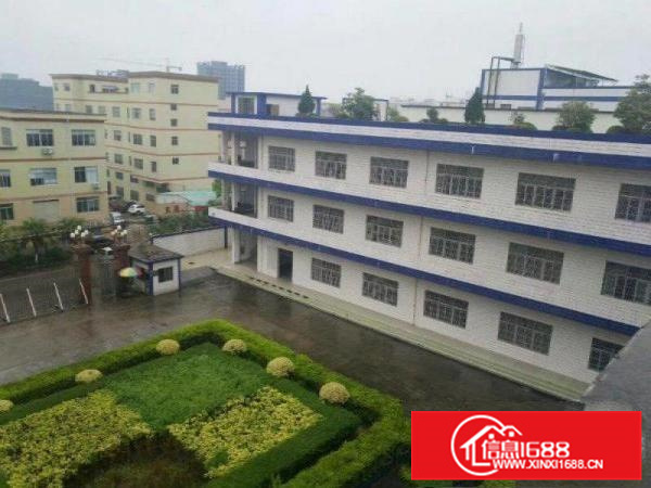 本人转租罗阳小金1楼1000平花园式厂房带办公室装修