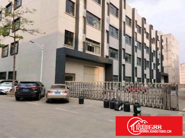 龙华大浪商业中心附近新出6400平独院独栋对外招租